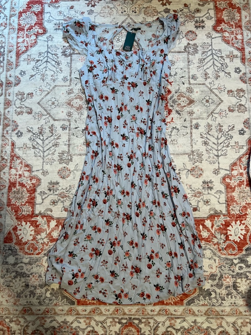 wild fable Light Blue Maxi Dress with Red Rose Print